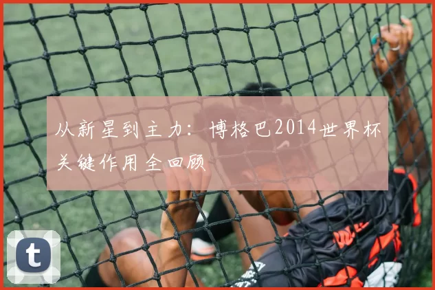 从新星到主力:博格巴2014世界杯关键作用全回顾