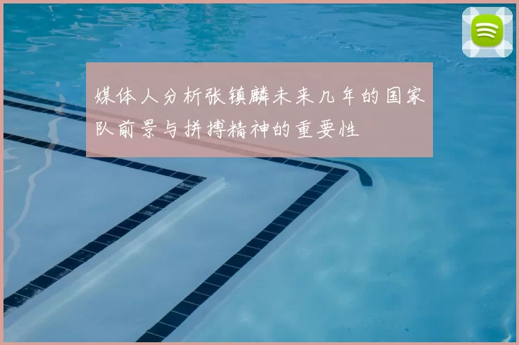 媒体人分析张镇麟未来几年的国家队前景与拼搏精神的重要性