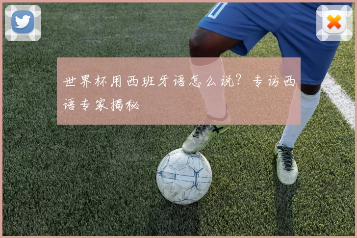世界杯用西班牙语怎么说?专访西语专家揭秘