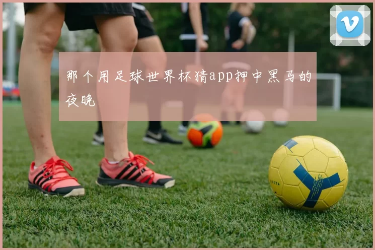 那个用足球世界杯猜app押中黑马的夜晚