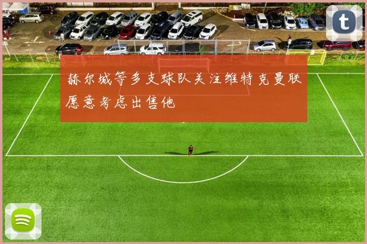 赫尔城等多支球队关注维特克曼联愿意考虑出售他