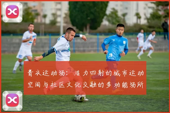 青衣运动场:活力四射的城市运动空间与社区文化交融的多功能场所