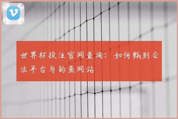 世界杯投注官网查询:如何甄别合法平台与钓鱼网站
