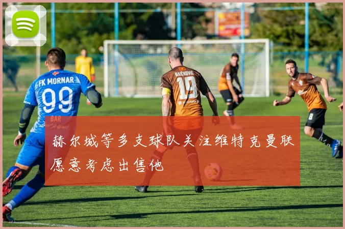赫尔城等多支球队关注维特克曼联愿意考虑出售他