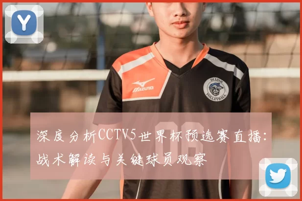 深度分析CCTV5世界杯预选赛直播:战术解读与关键球员观察