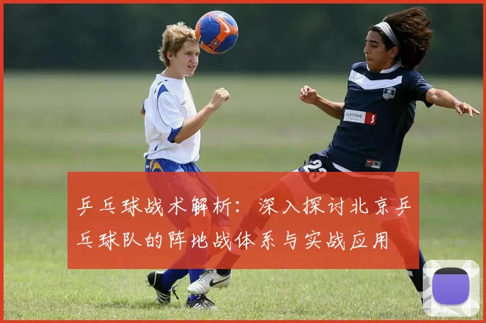 乒乓球战术解析:深入探讨北京乒乓球队的阵地战体系与实战应用