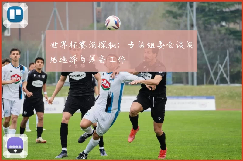 世界杯赛场探秘:专访组委会谈场地选择与筹备工作