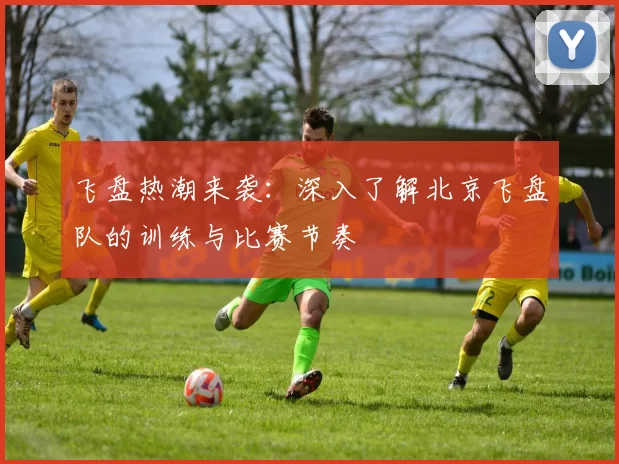 飞盘热潮来袭:深入了解北京飞盘队的训练与比赛节奏